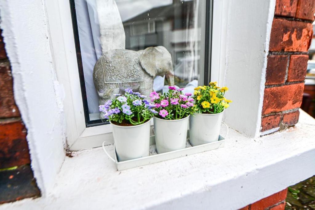 Aunty Katie'S House, Ni Tourist Board Certified With Free Continental Breakfast Appartement Belfast Buitenkant foto
