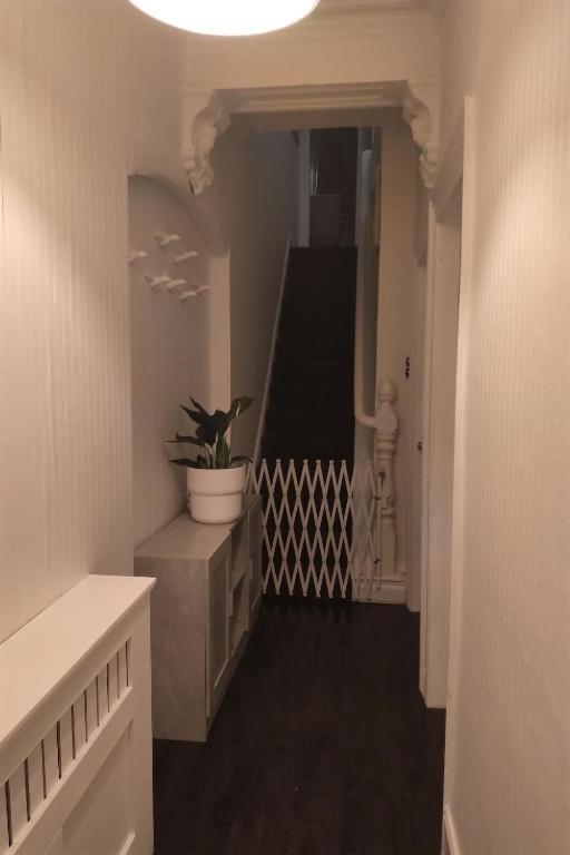 Aunty Katie'S House, Ni Tourist Board Certified With Free Continental Breakfast Appartement Belfast Buitenkant foto